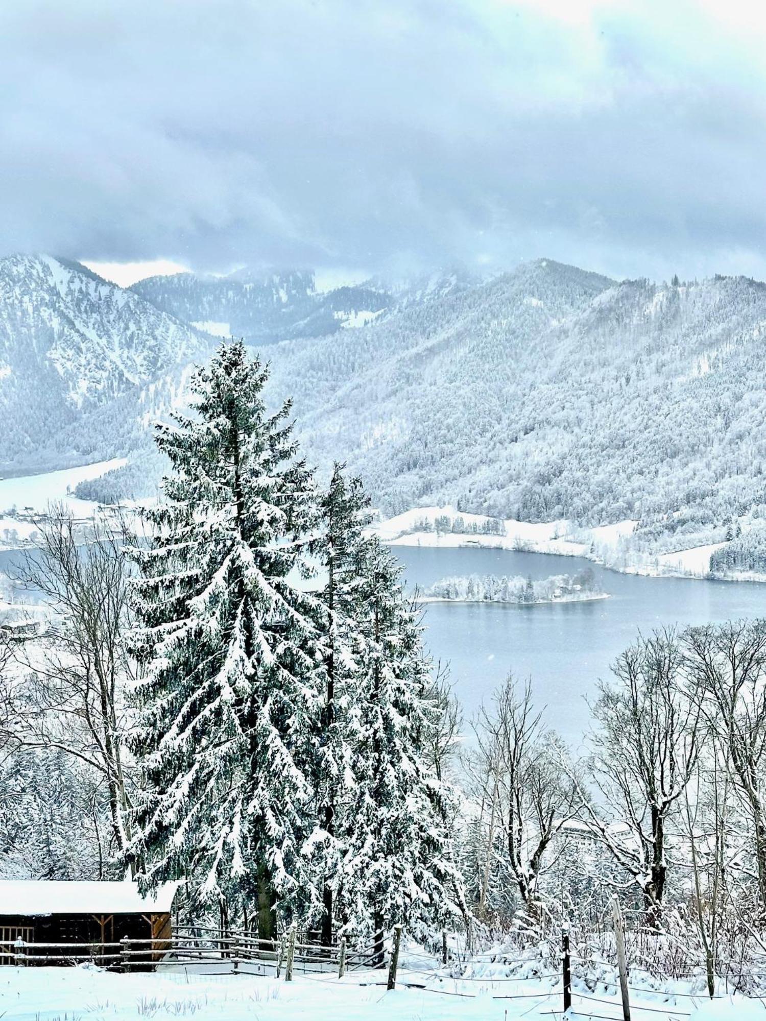 Alpenoase Schliersee - Grosse Suite Mit Sauna Oder Gemuetliche Studio Appartements Exterior foto